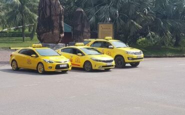 Taxi Sen Vàng – Gía vé, dịch vụ hãng cung cấp